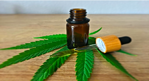 Maintain a Healthy Lifestyle by Adding CBD Oil to Your Diet!